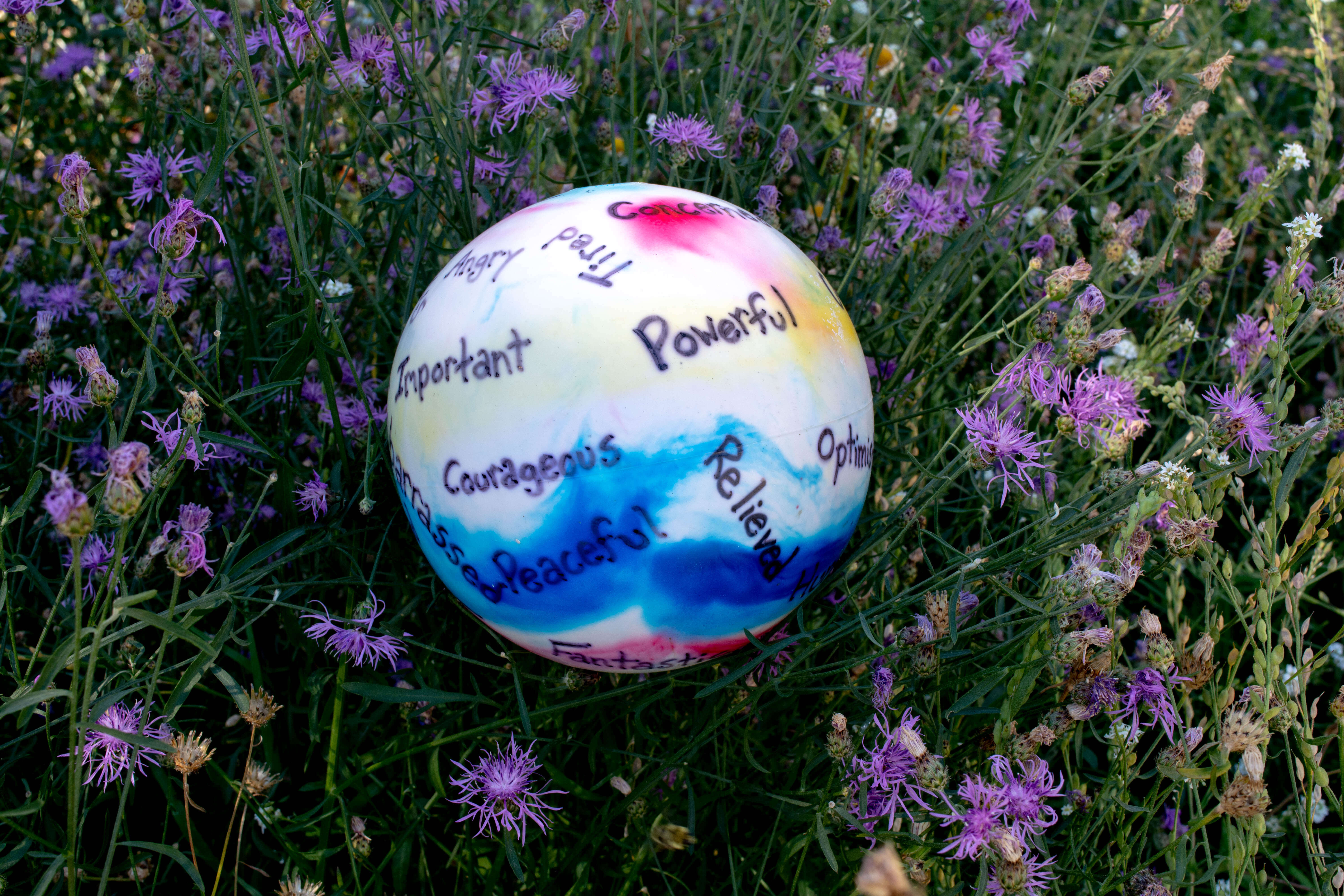 Beach Ball of Emotions Game