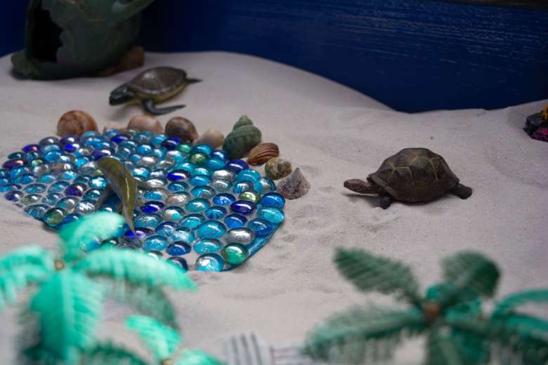 Toy turtles in a sand tray with a pool of water and a shark in it