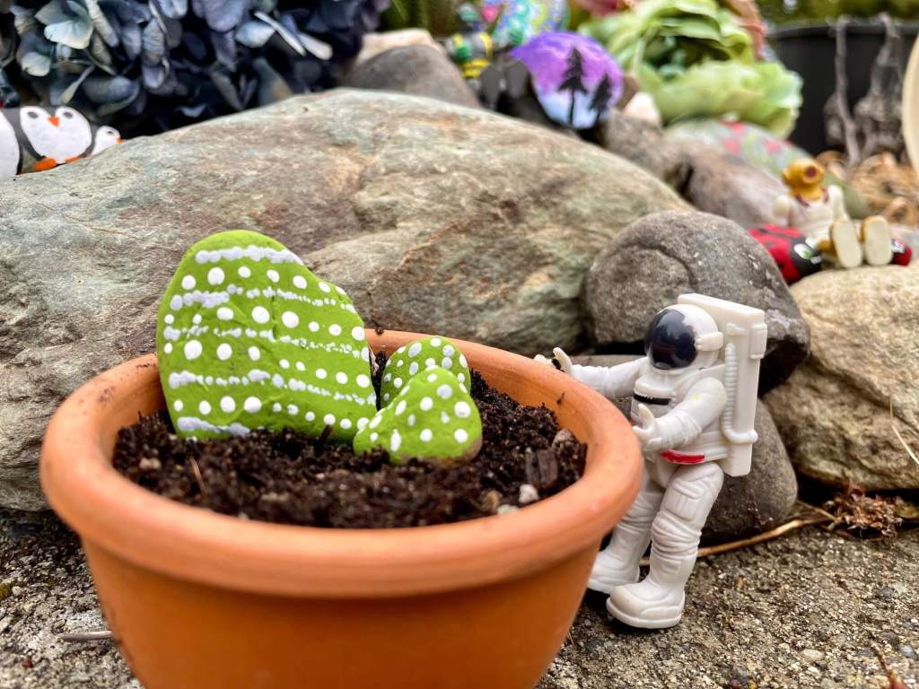 Small toy with cactus themed Remembering Rocks